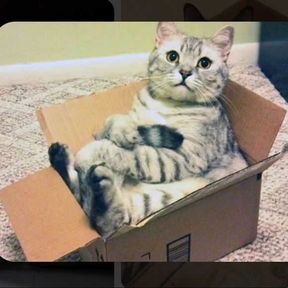 🌿I Pack With Care & Bubble Wrap🌿 - Picture 9 of 16